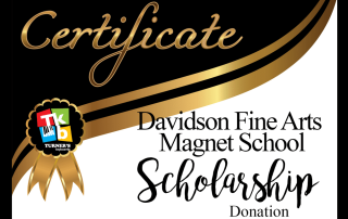 Davidson Fine Arts Scholarship