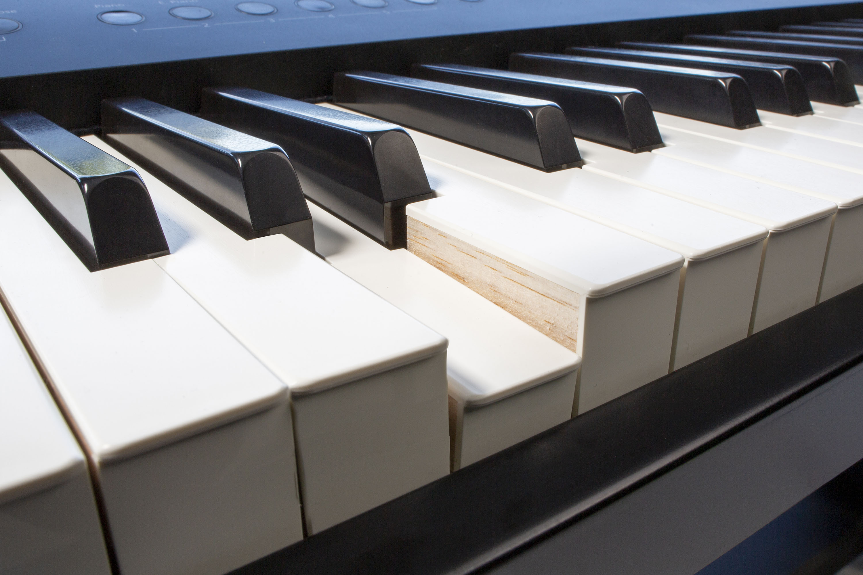 Roland FP-90X Portable Digital Piano - Image 12