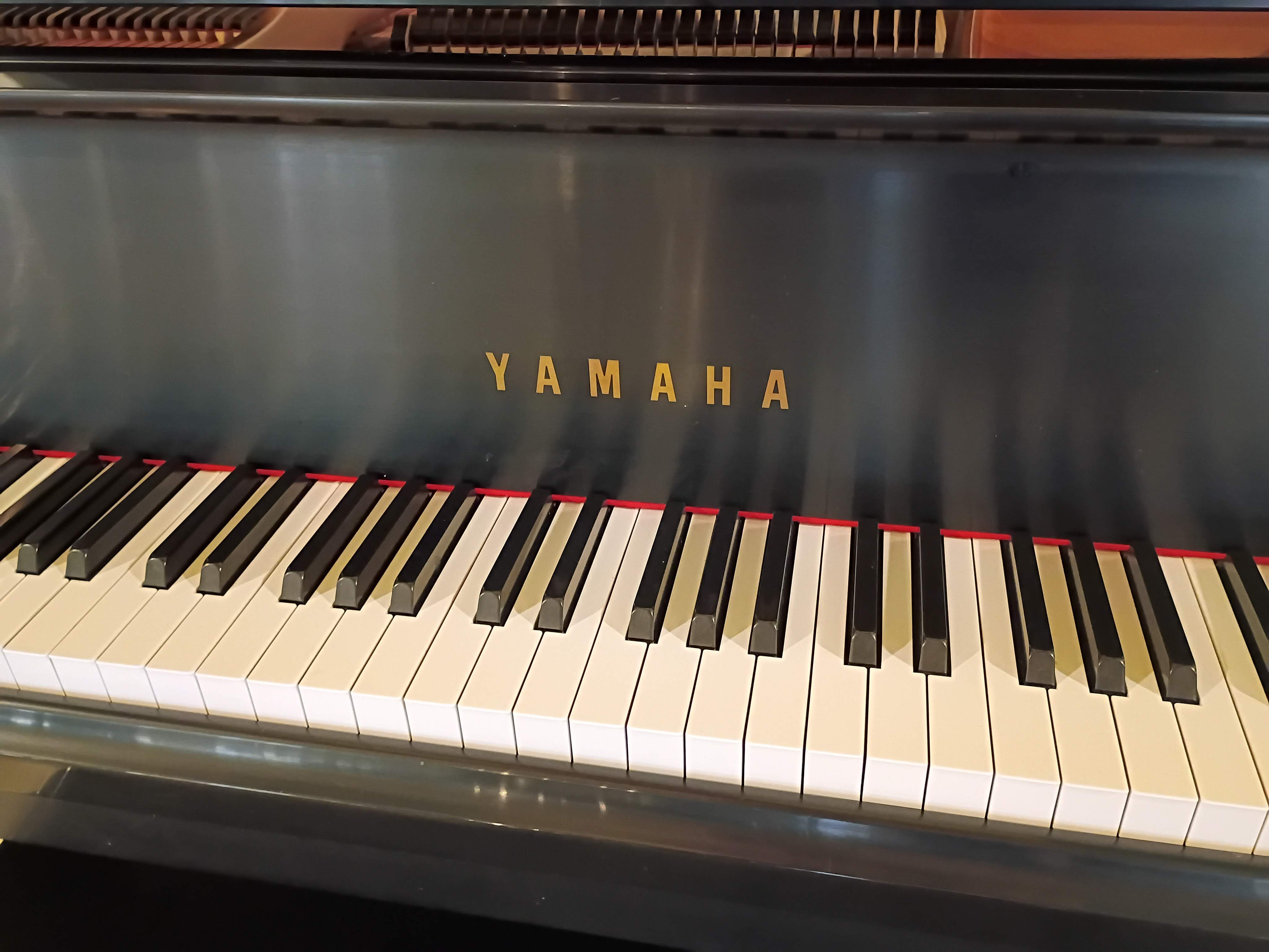 Yamaha 5'3" GH1 Conservatory Grand (Pre-Owned) - Image 2